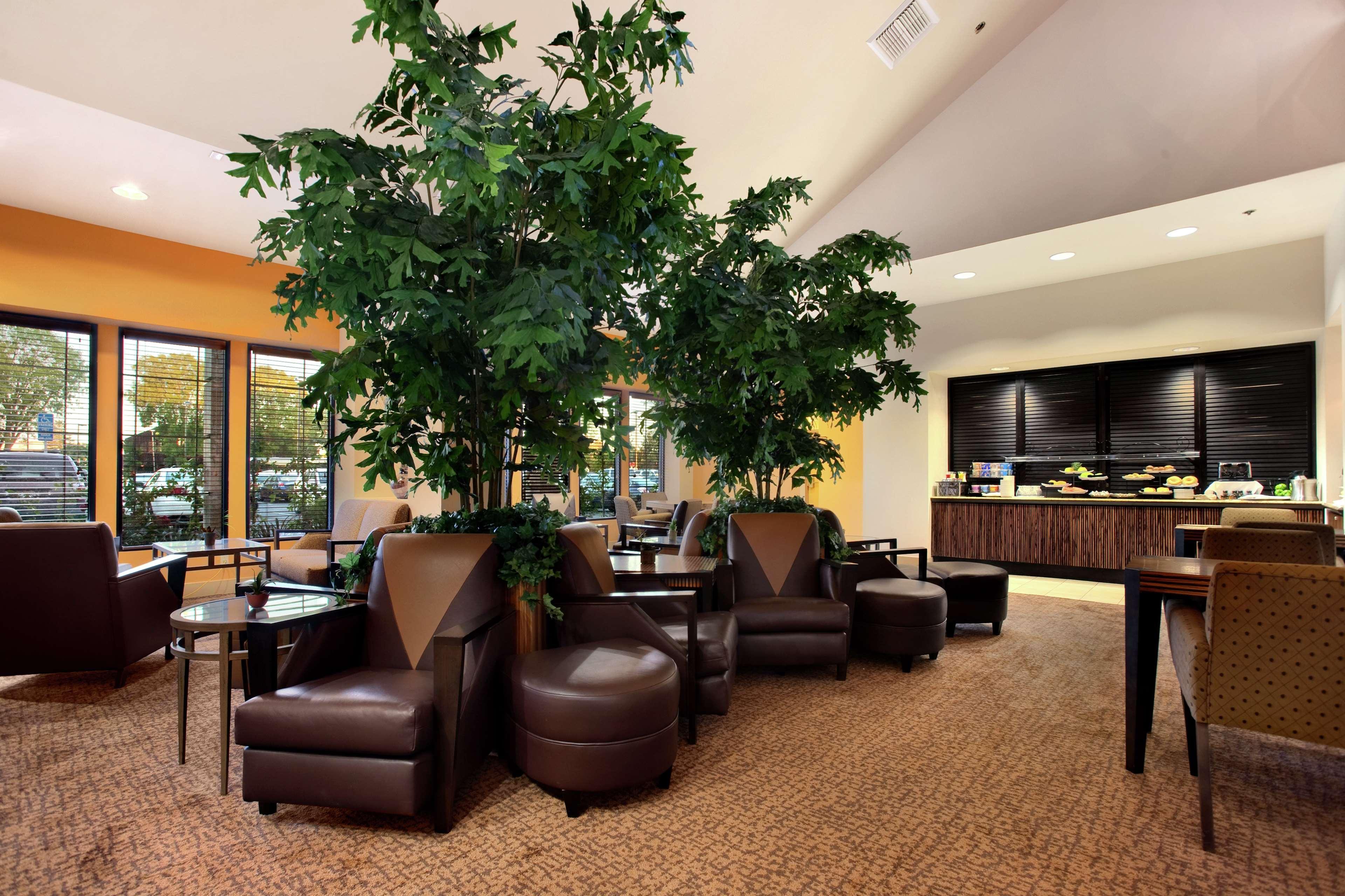 Hilton Stockton Hotel Interieur foto